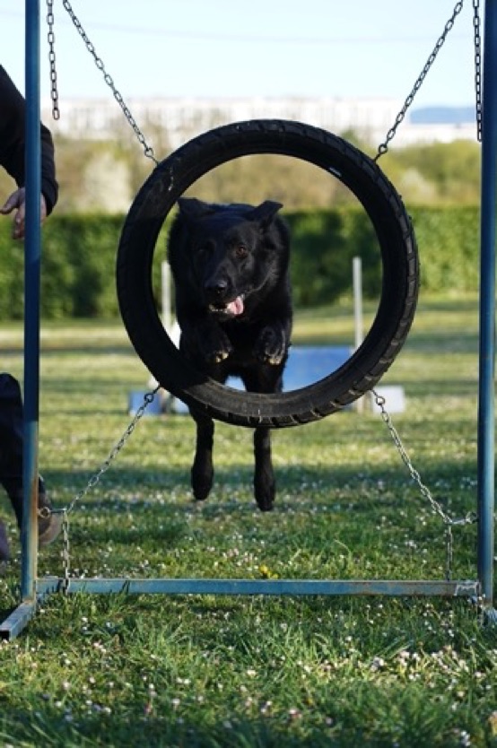 Agility1