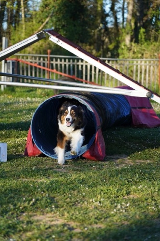 Agility3